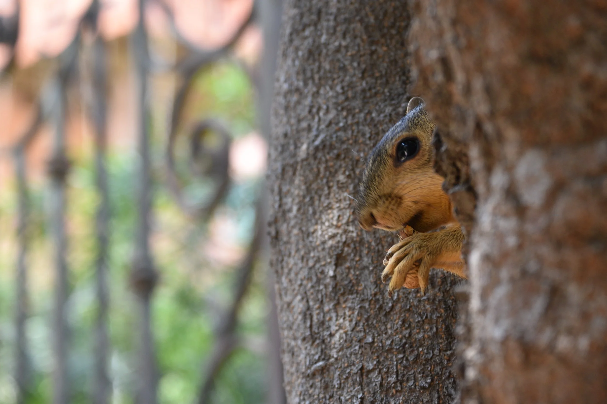 DSC_0399.JPG