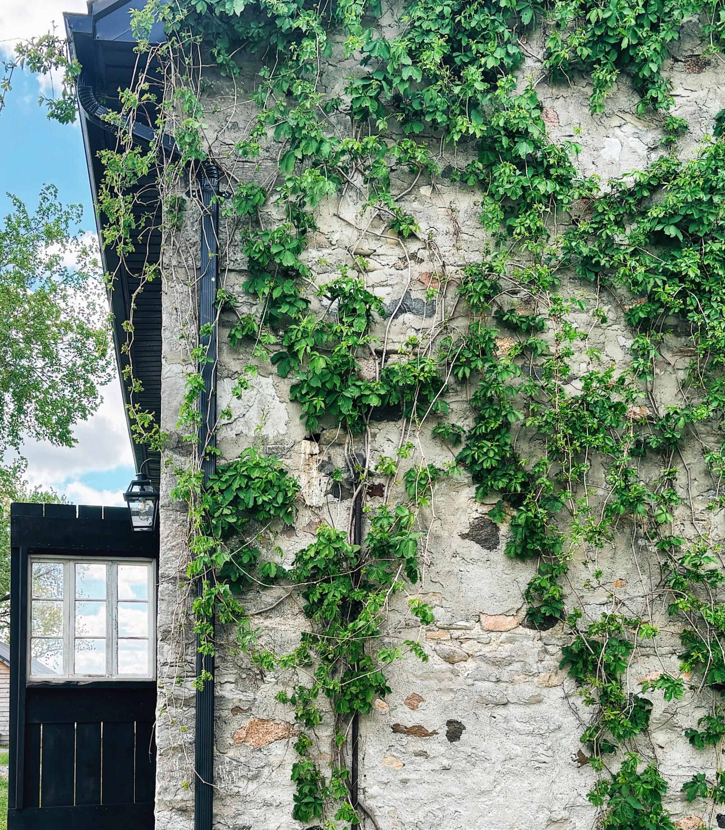 The Grist Mill.

It&rsquo;s hard to pick a favourite spot on the property but the mill might be it. Built in 1867, this building will be lovingly restored over the course of several years. For now, the first section of the mill is available 3 seasons