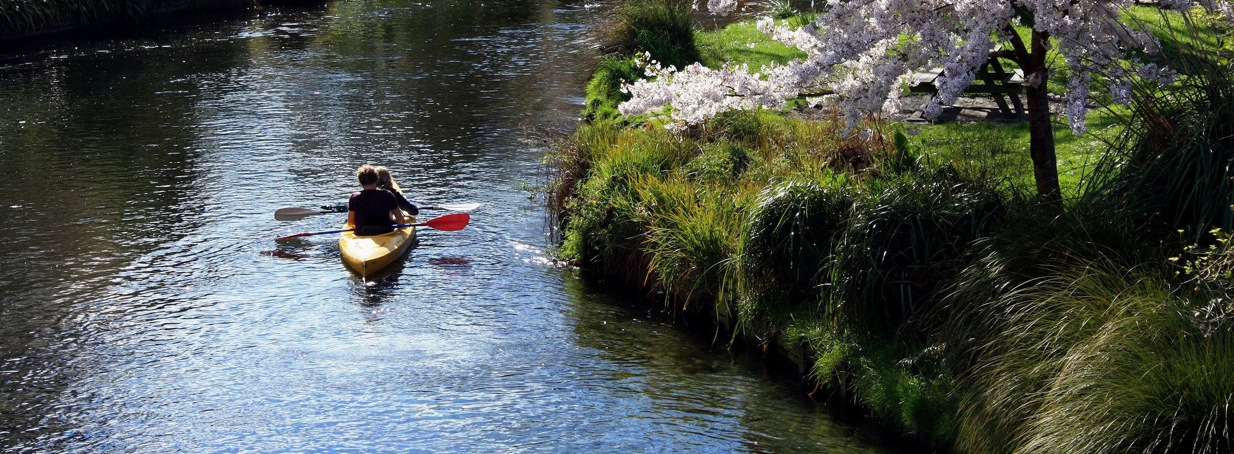 Understanding how Christchurch people value and treat their waterways ~ CCC Waterways