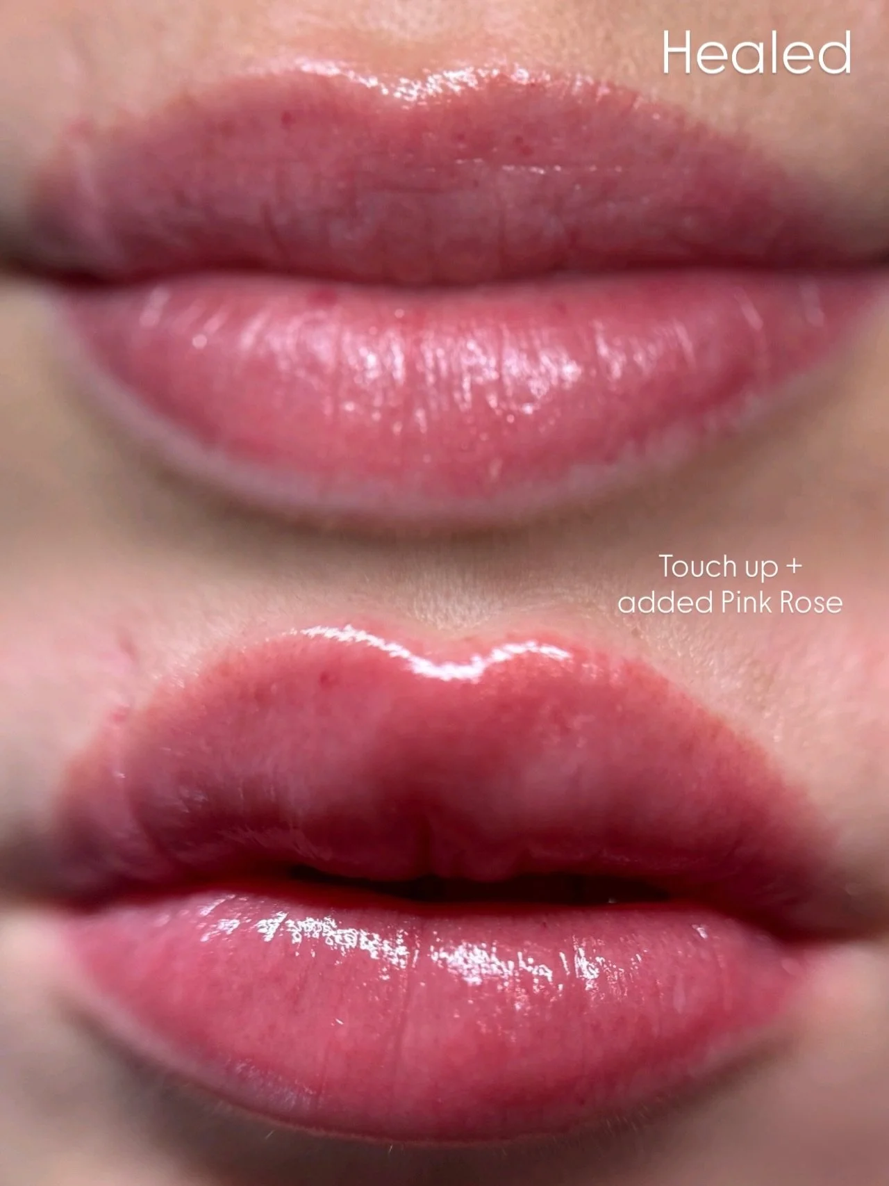 When you drive 4 hours to get your lips blushed and the results are everything you dreamed of 🥹💋

Color: @tinadaviesprofessional + @permablend_pigments
Needle: @bowlerestheticspro 2501rl