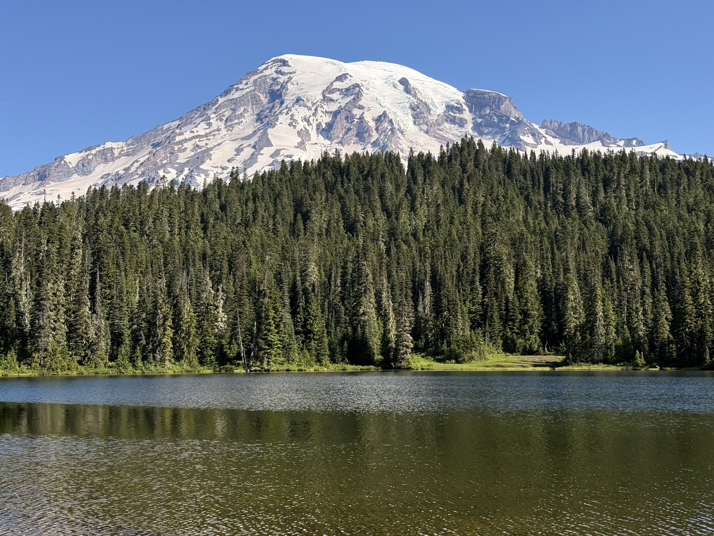 Rainier Update