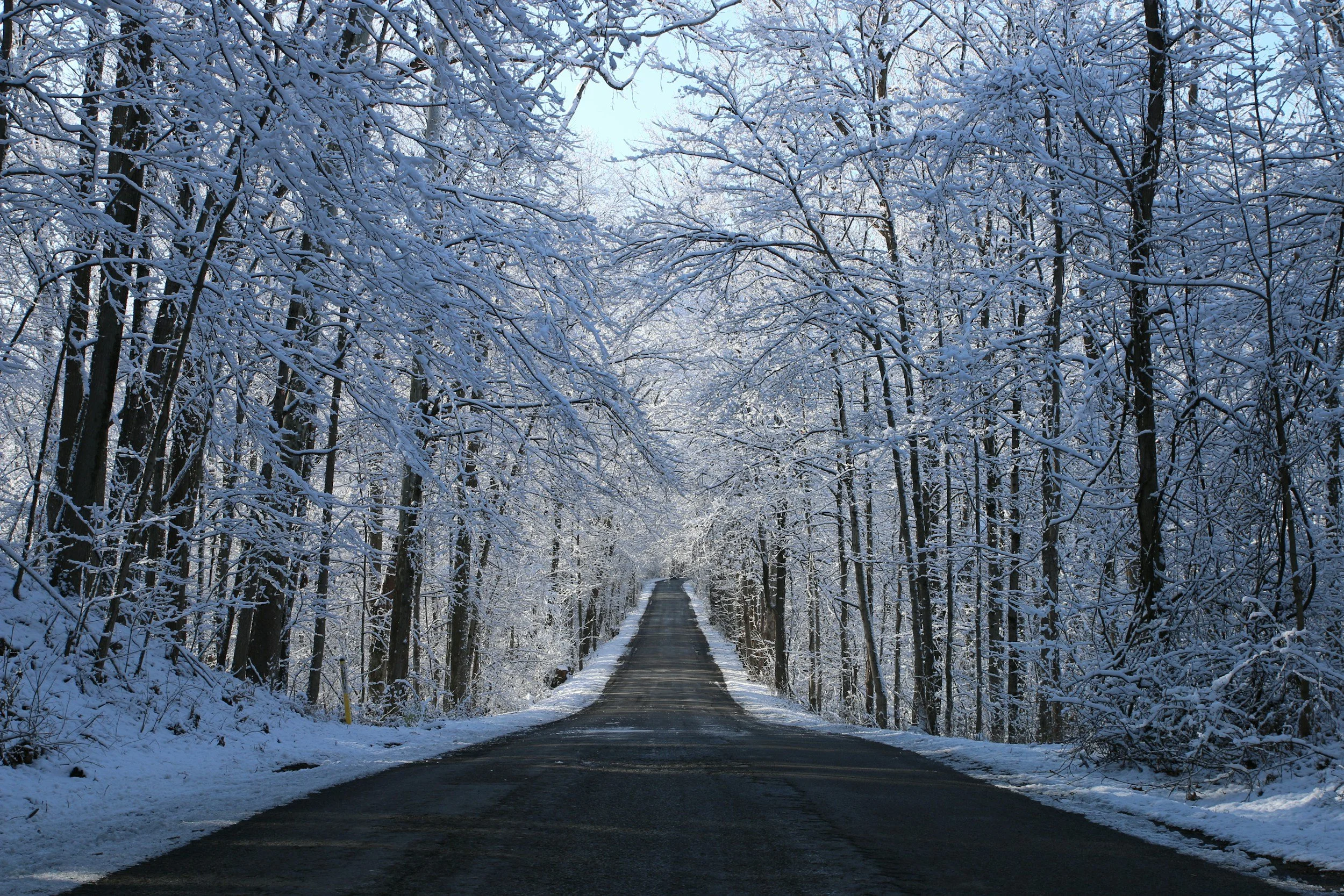 Private Roads in Northern Michigan: The 4-Page Document That Quietly Decides Whether You Can Reach Your House in February