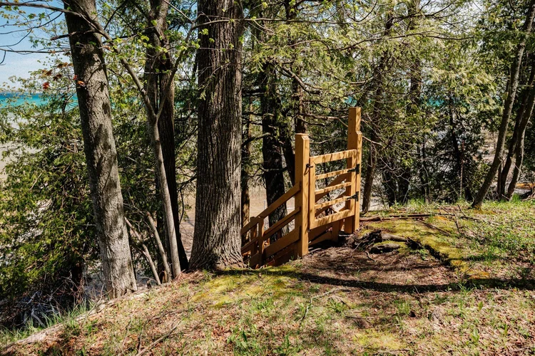 Wooden stairs through the trees toward the beach