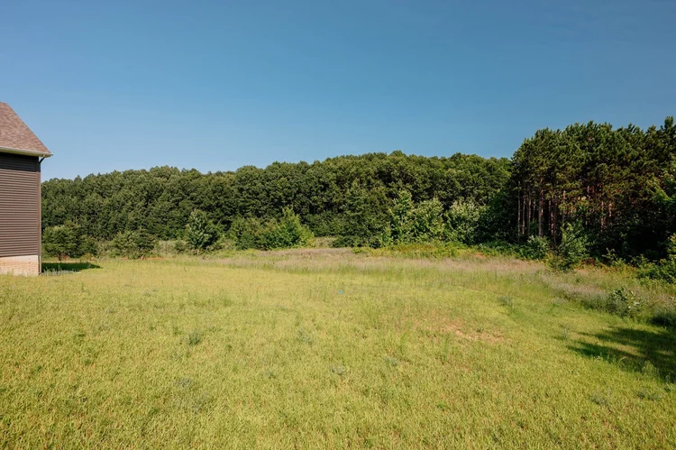 Grassy back yard bordered by woods
