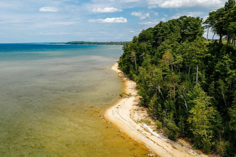 Sandy shoreline below a wooded bluff on the bay