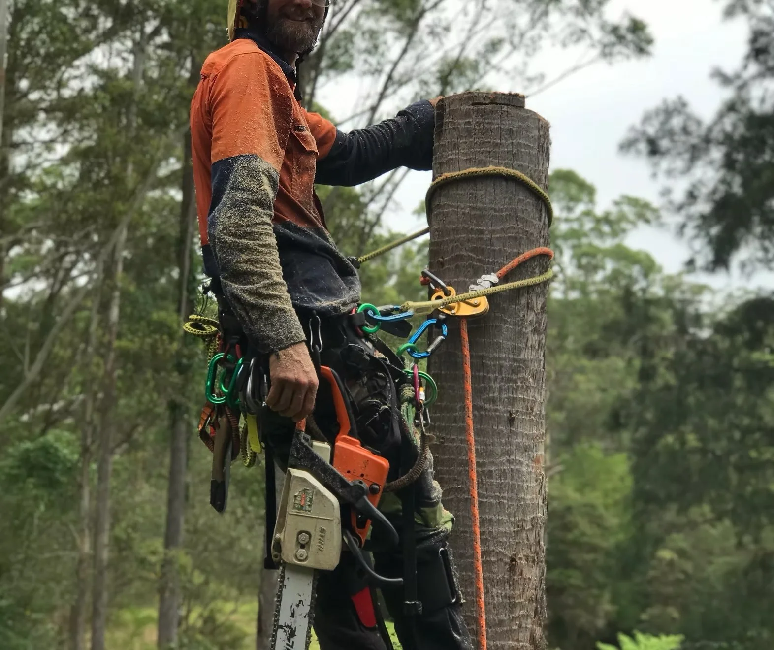 A worker in safety gear standing on a tree trunk, using climbing equipment for tree maintenance or removal.