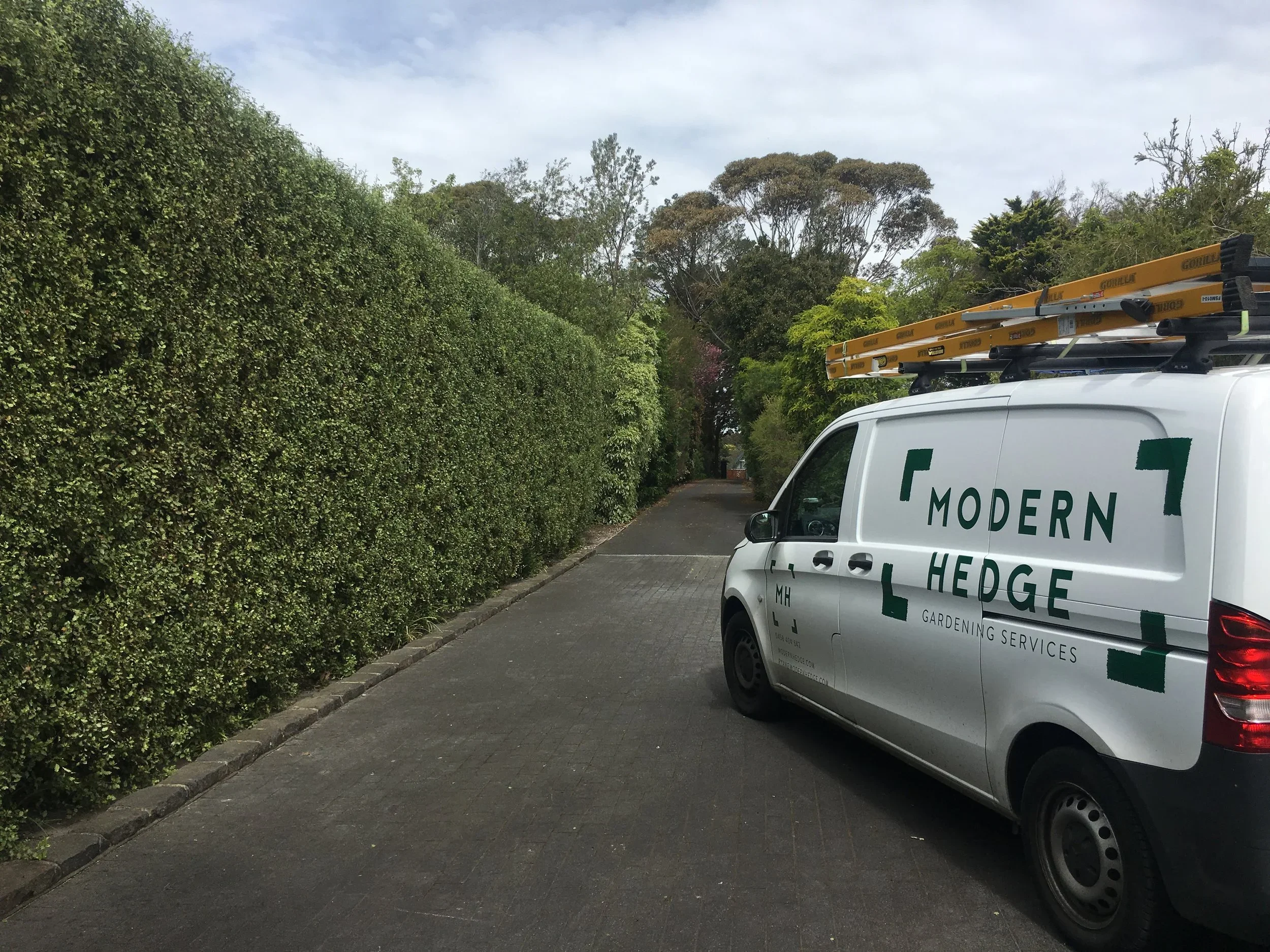 A white van with the logo 'Modern Hedge Gardening Services' parked beside a well-maintained hedge on a paved driveway, with trees in the background.