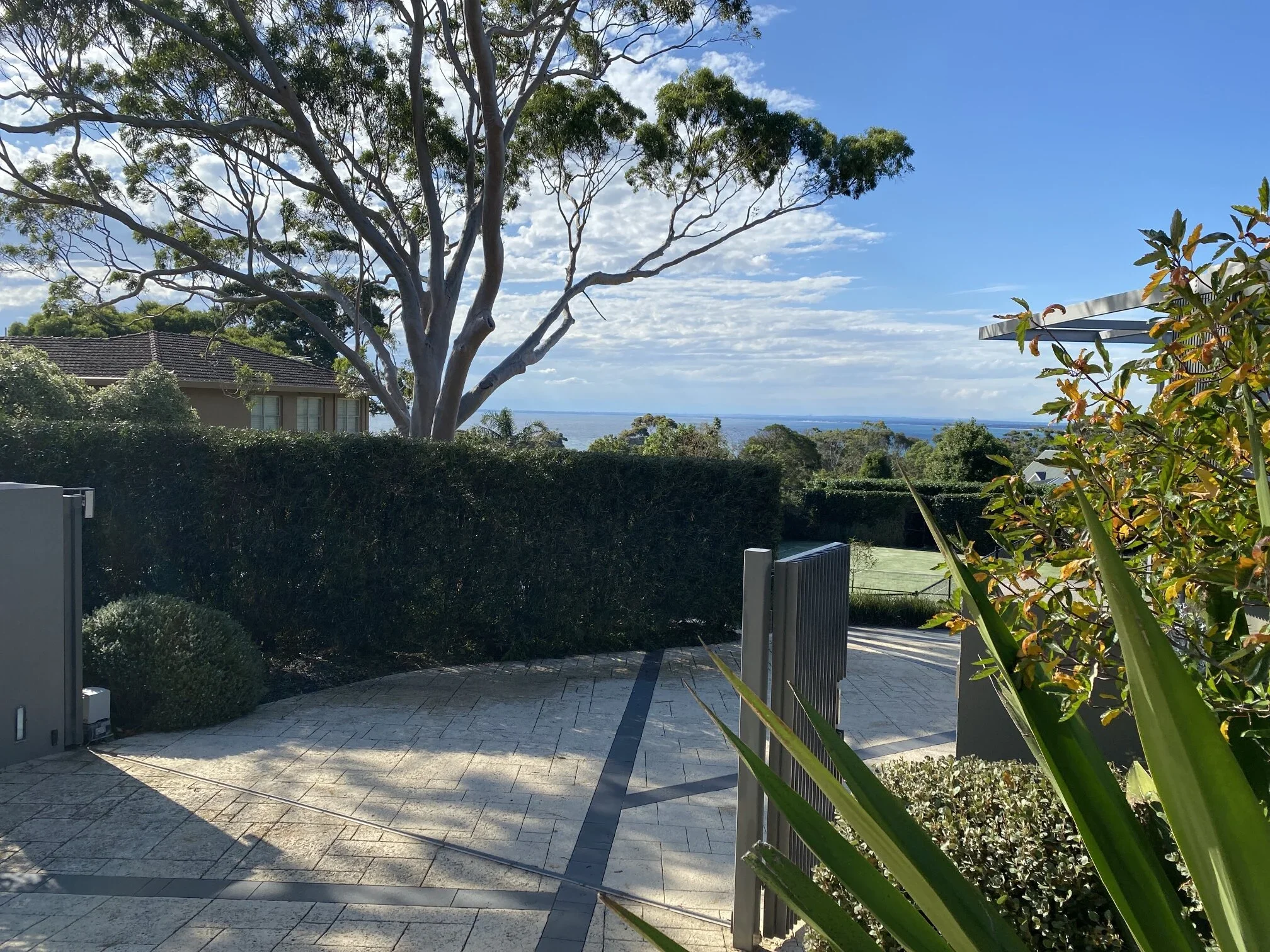 Restoring bay views by giving a trim to this clients hedges