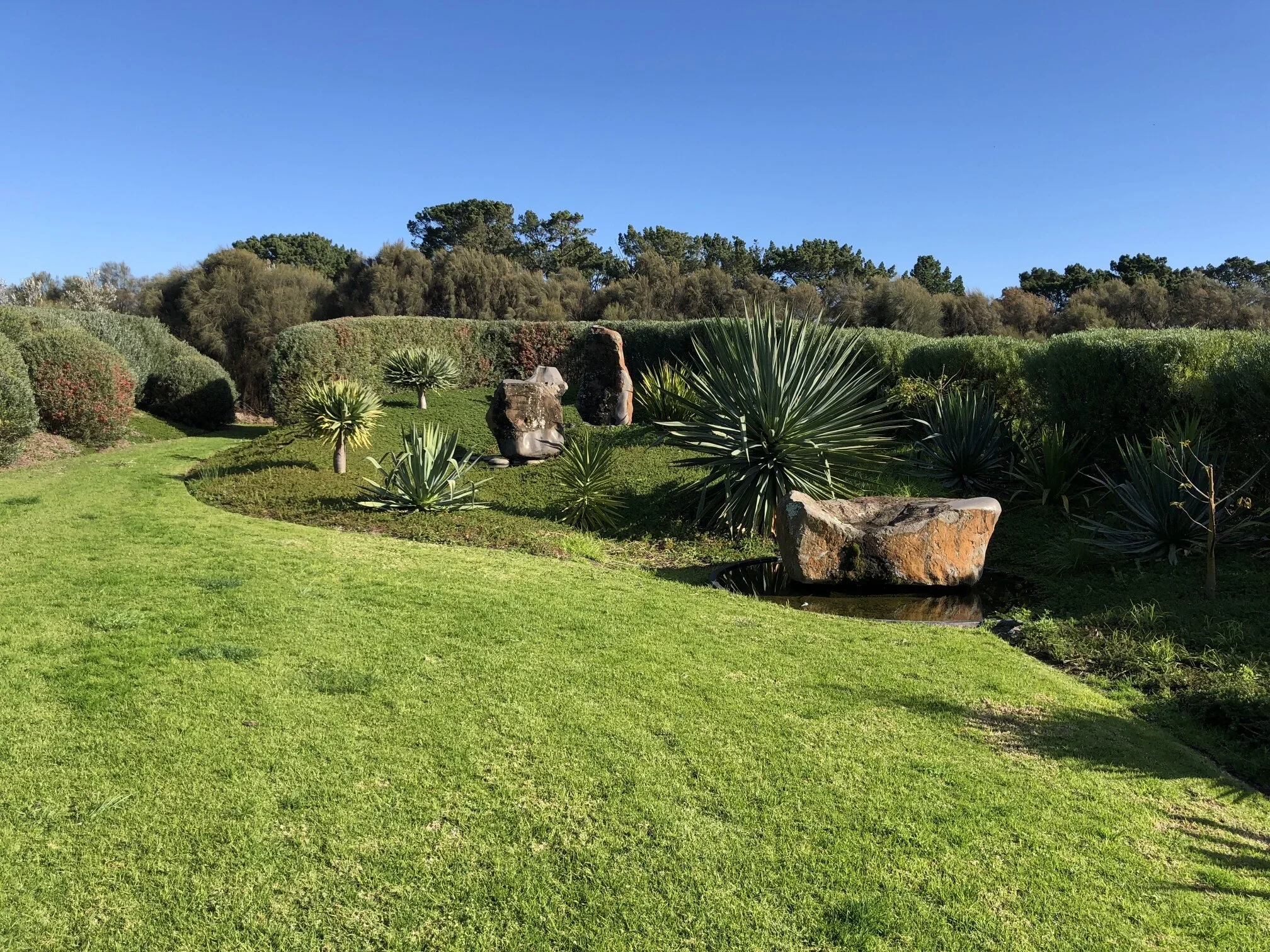 A landscaped garden with green grass, large rocks, and various small spiky desert plants, with bushes and trees in the background under a clear blue sky.