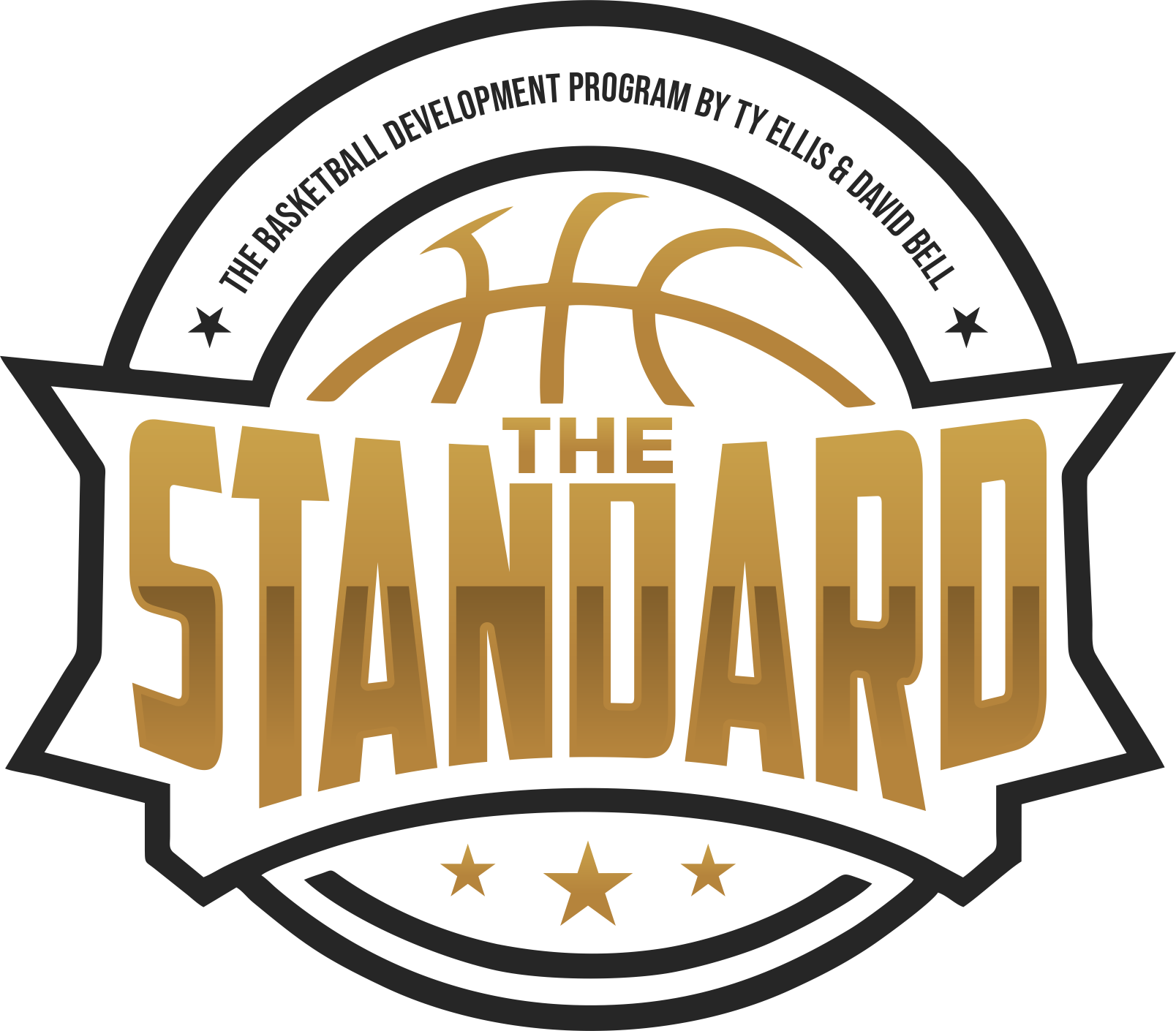 The Standard- The Basketball Development Program.png