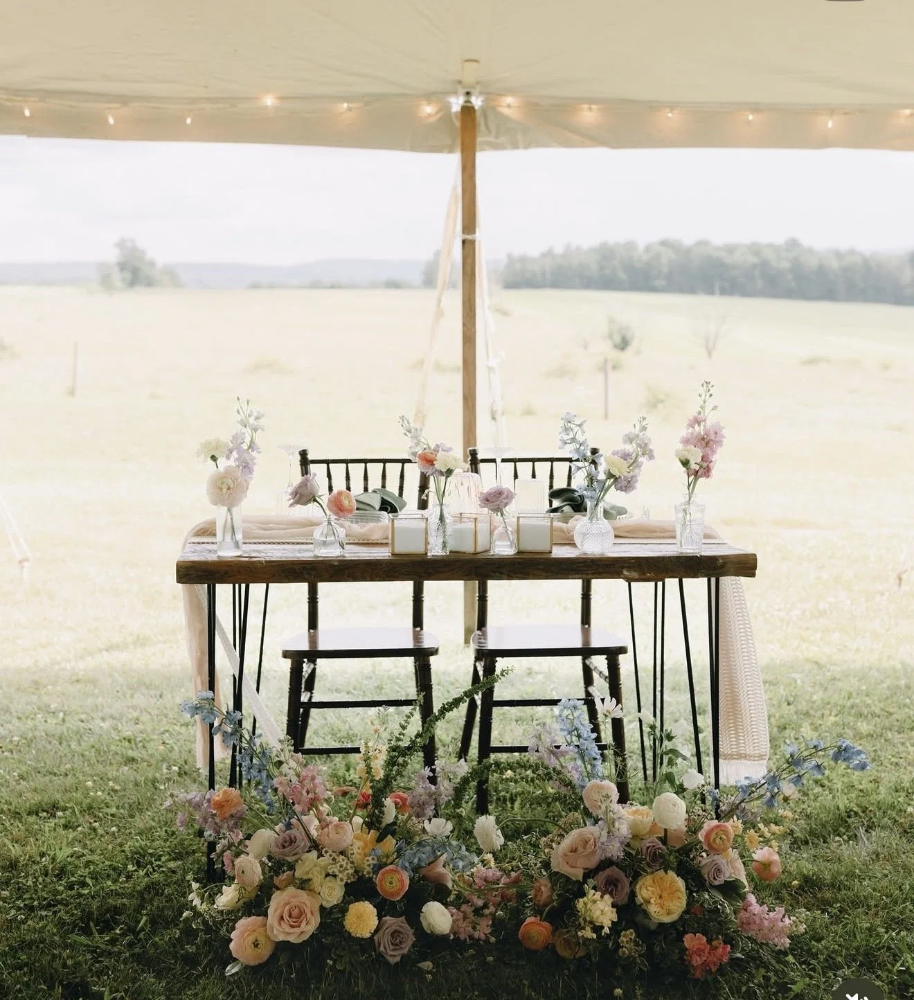backyard wedding.jpg