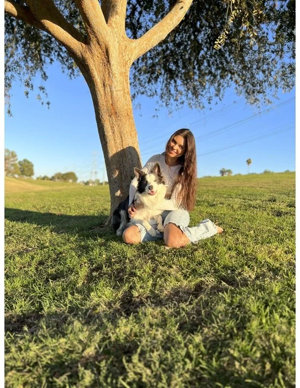 A woman sitting on the grass under a tree, hugging a black and white dog, on a sunny day in a park or open field.