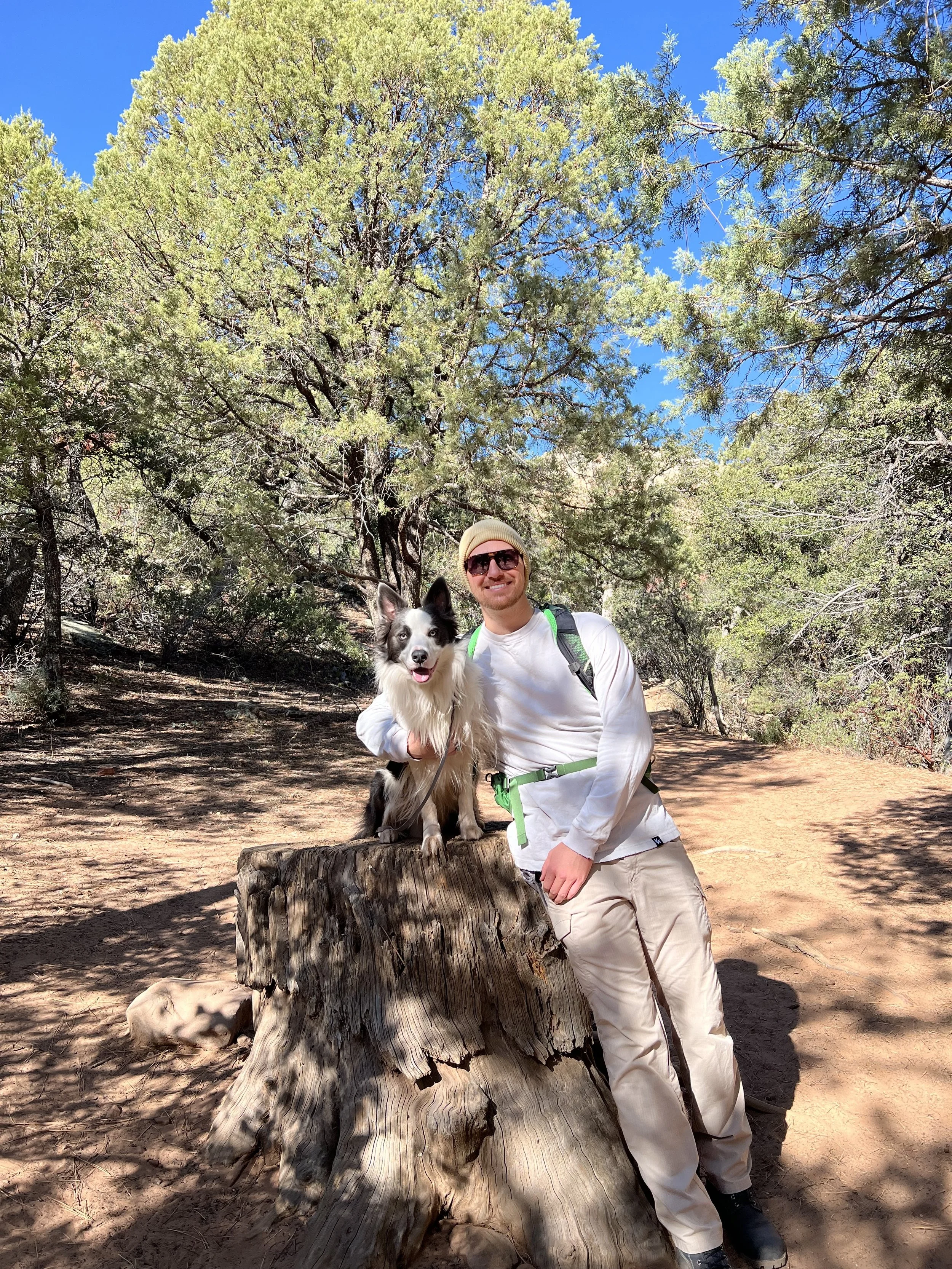 A man in outdoor clothing with sunglasses and a backpack, smiling, beside a black and white dog sitting on a tree stump in a forested area during daytime.
