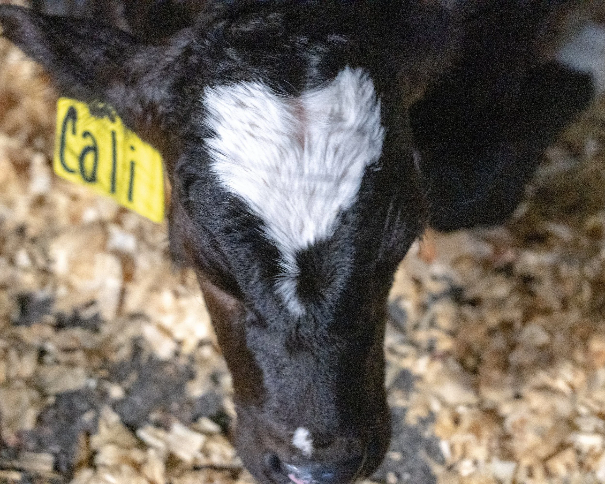 4. Servicios (24).jpg