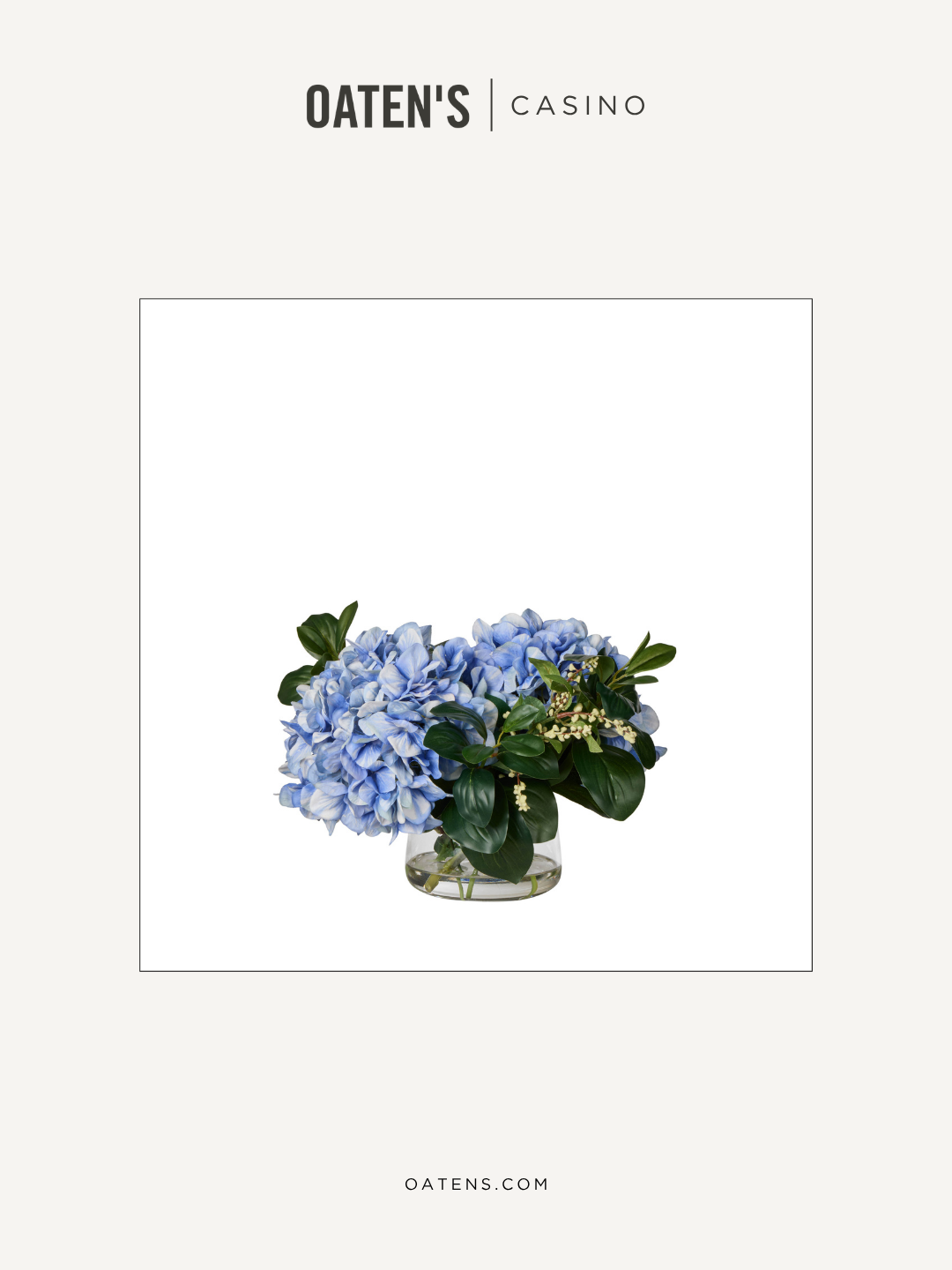oatens-new-blue-edit-26.png