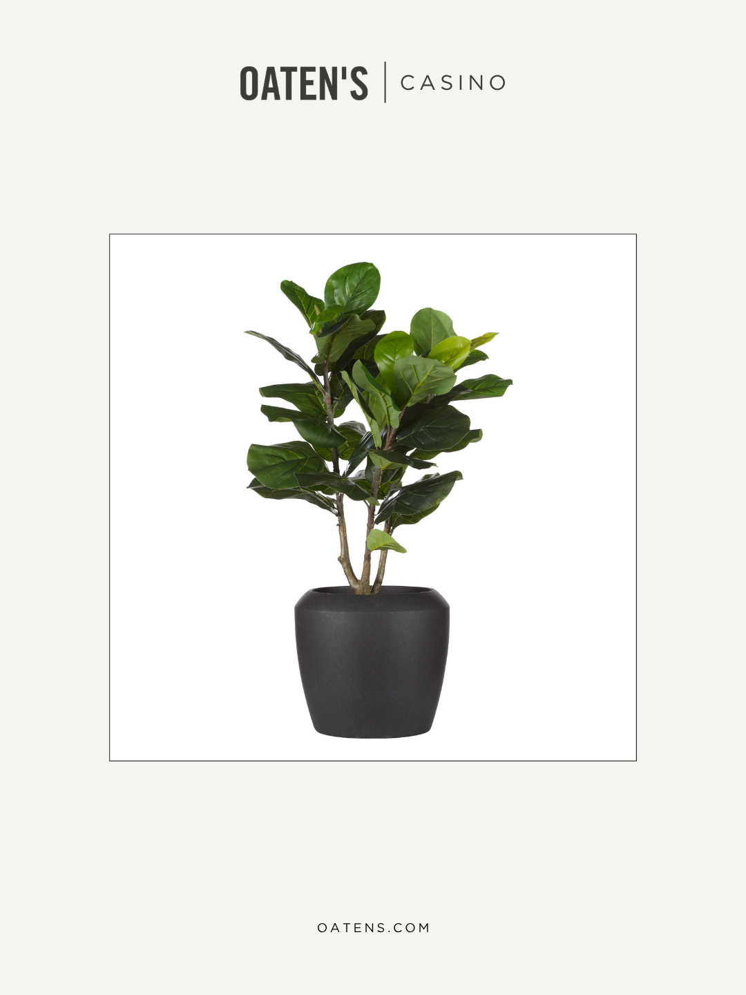 oatens-forever-florals-edit-112.png