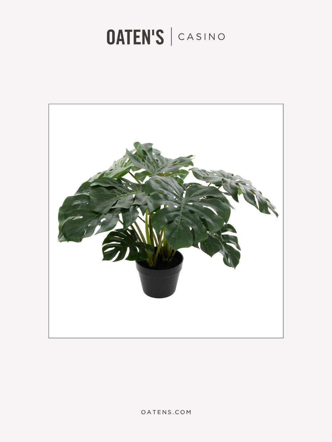 oatens-forever-florals-edit-113.png