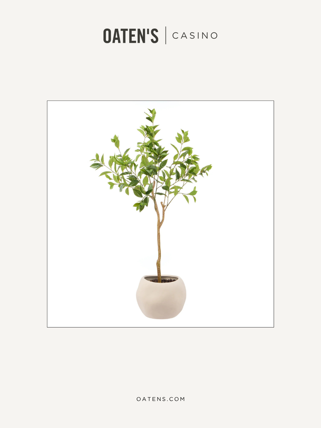 oatens-forever-florals-edit-116.png