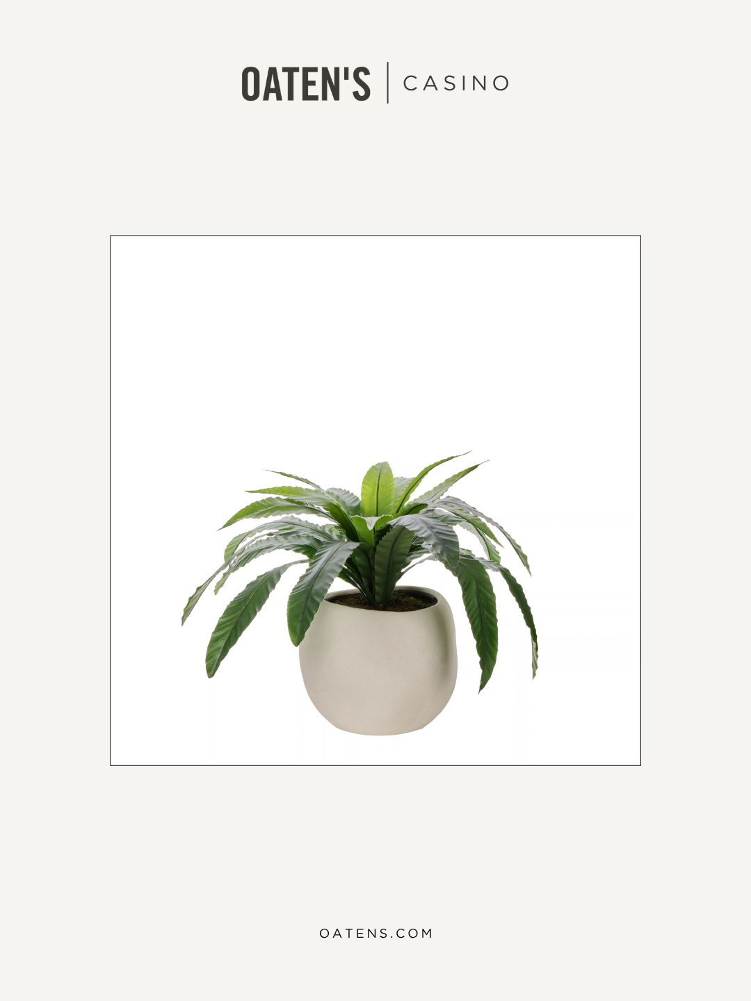 oatens-forever-florals-edit-117.png
