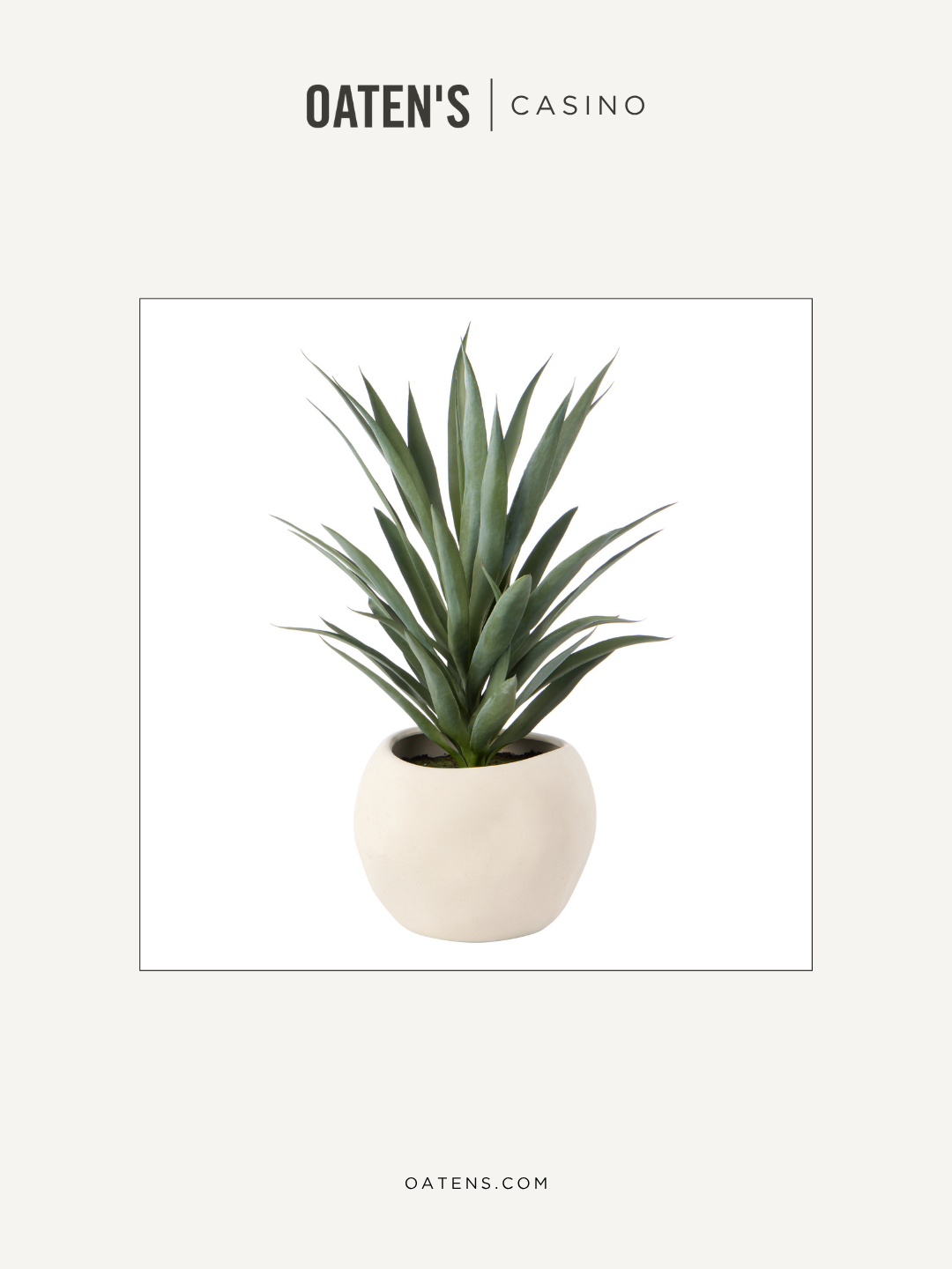 oatens-forever-florals-edit-118.png