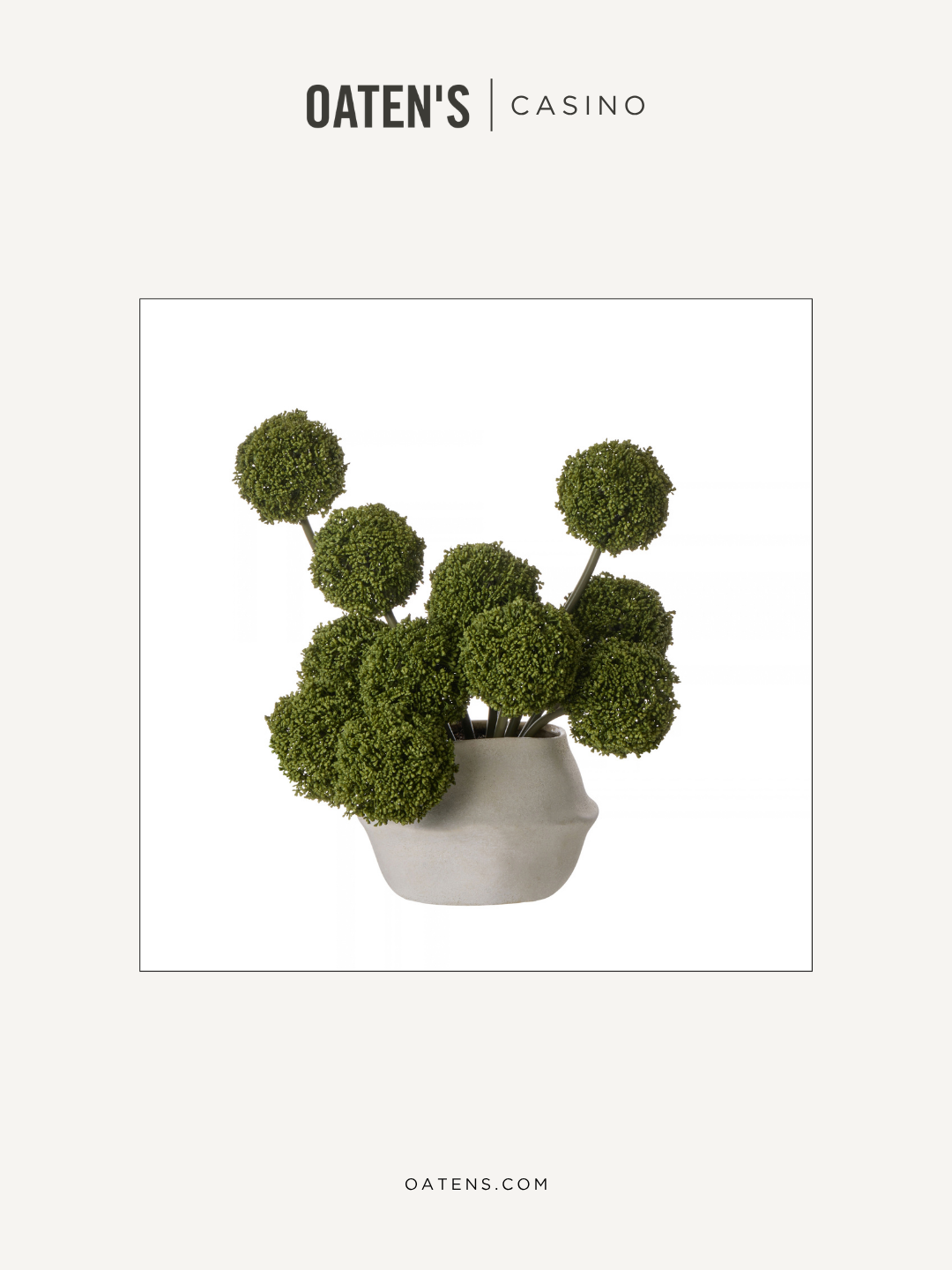 oatens-forever-florals-edit-119.png