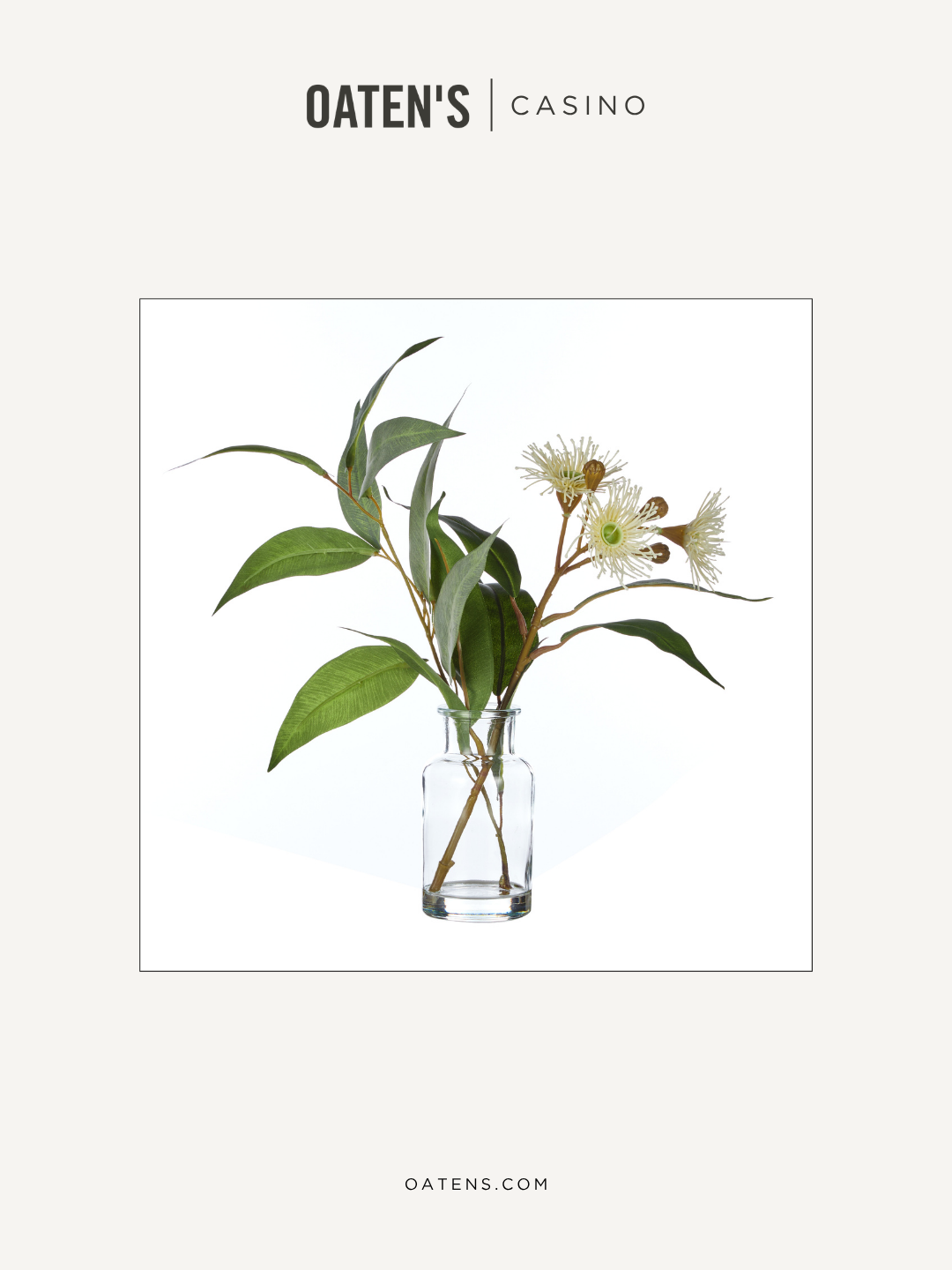 oatens-forever-florals-edit-121.png