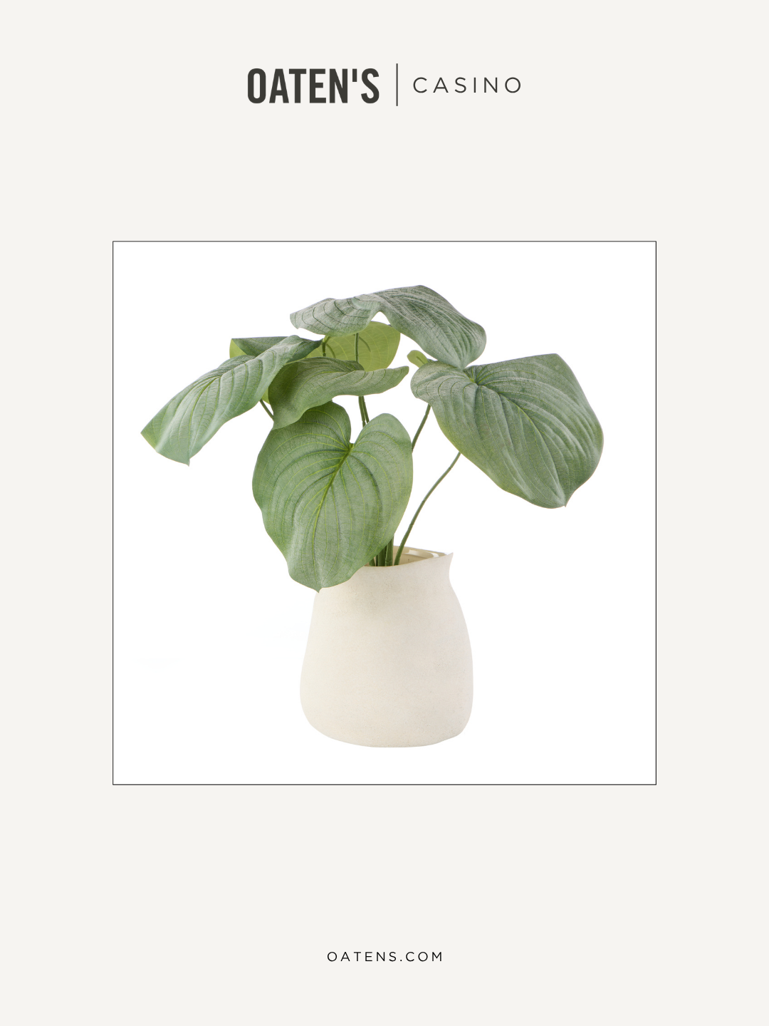 oatens-forever-florals-edit-124.png