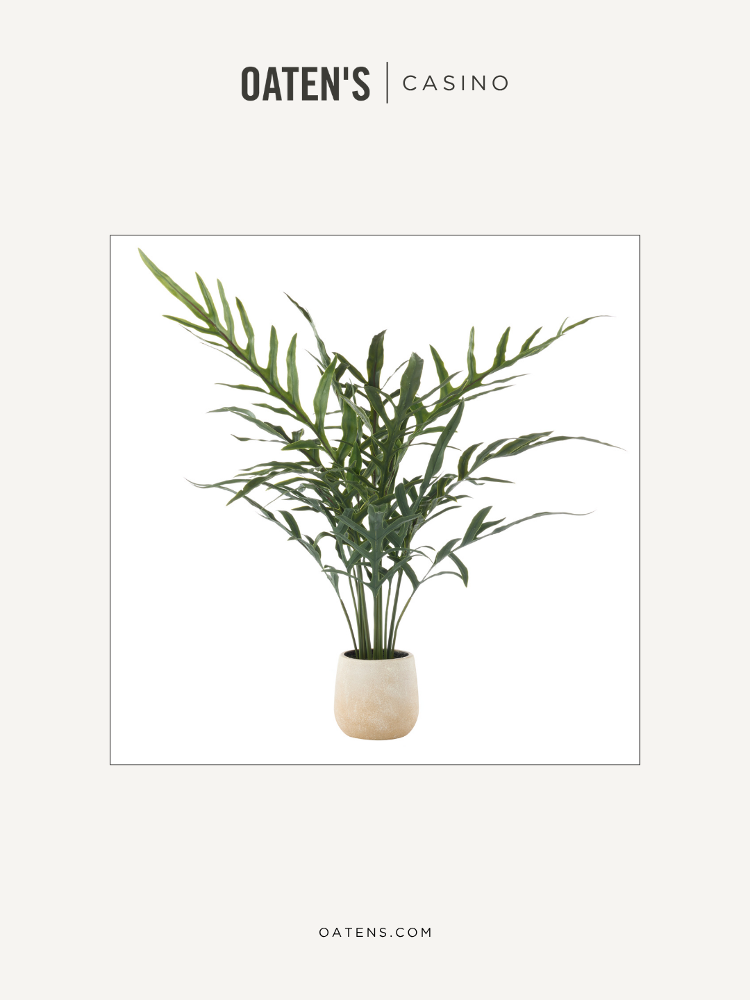 oatens-forever-florals-edit-125.png