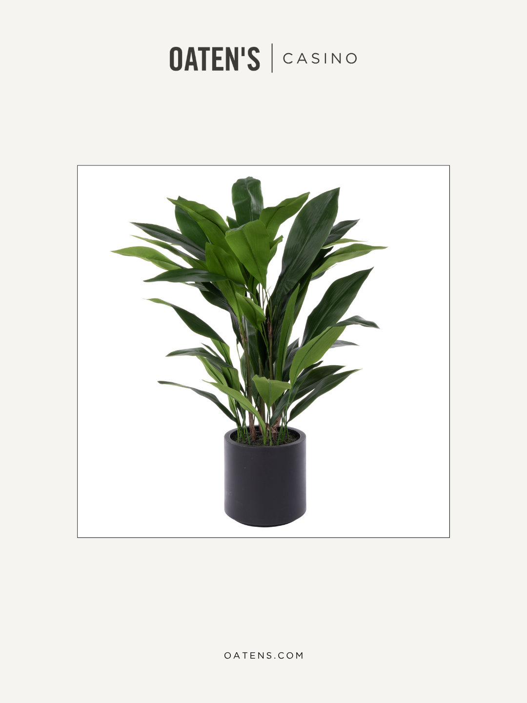 oatens-forever-florals-edit-126.png