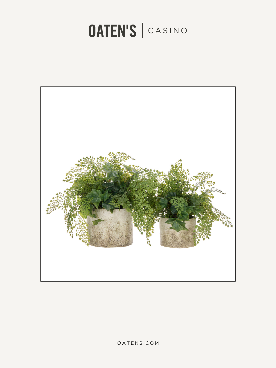 oatens-forever-florals-edit-130.png