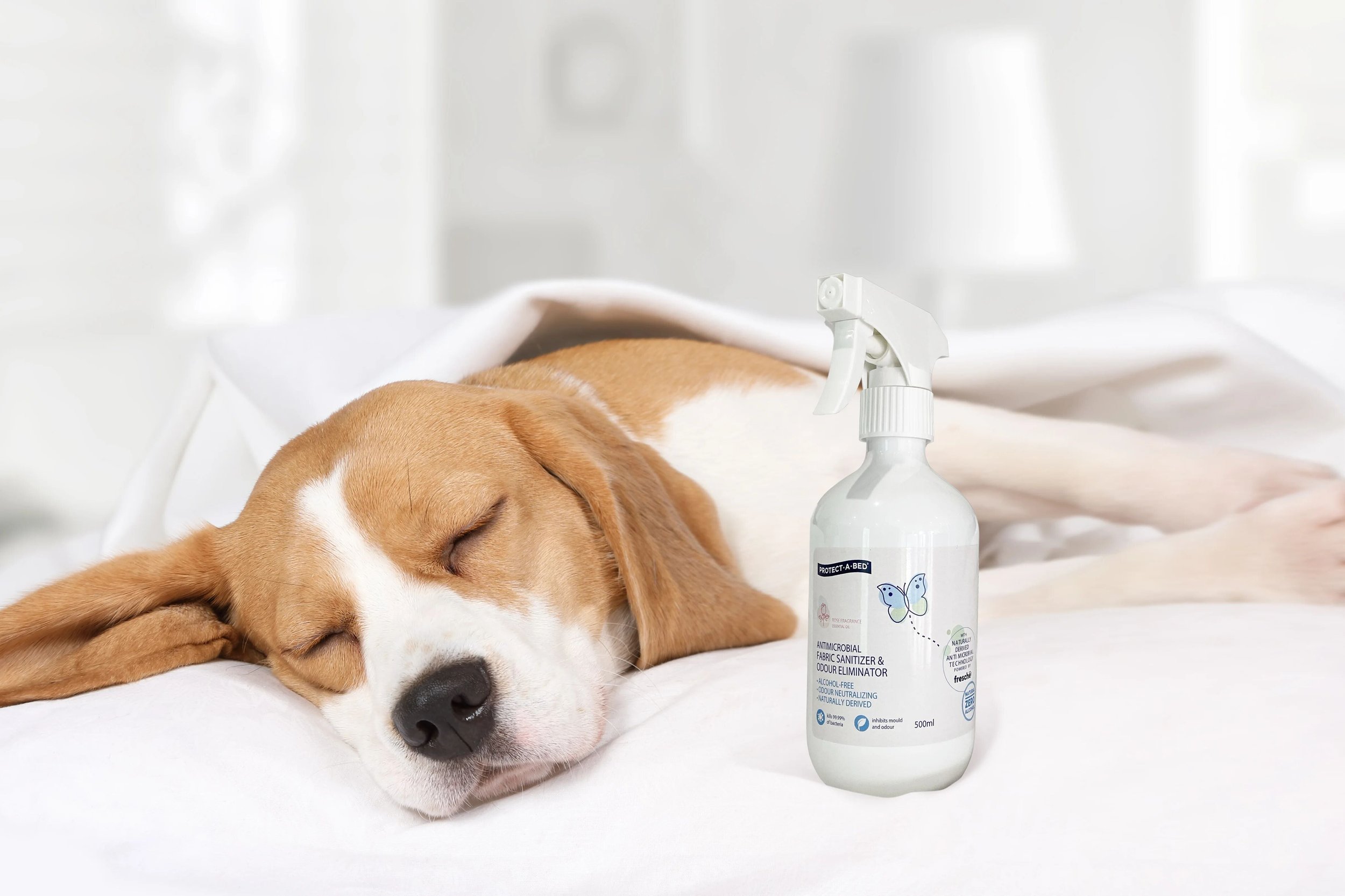 Protect-A-Bed ® Fabric Santizer & Odour Eliminator Powered by Fresche® (view 2) at Oaten’s Beds R Us Casino