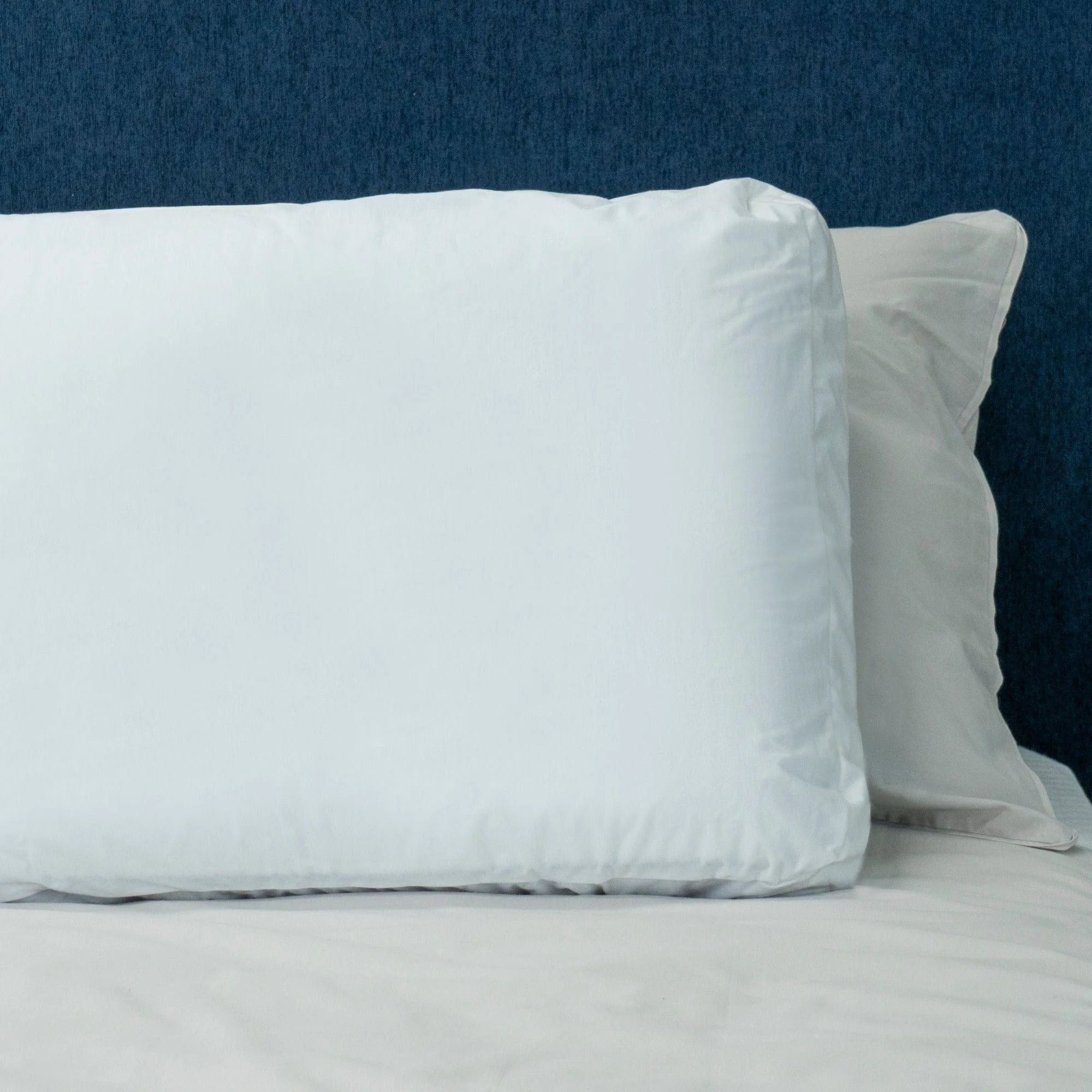 Protect-A-Bed Thermocool® Side Sleeper Waterproof Pillow Protector (view 3) at Oaten’s Beds R Us Casino