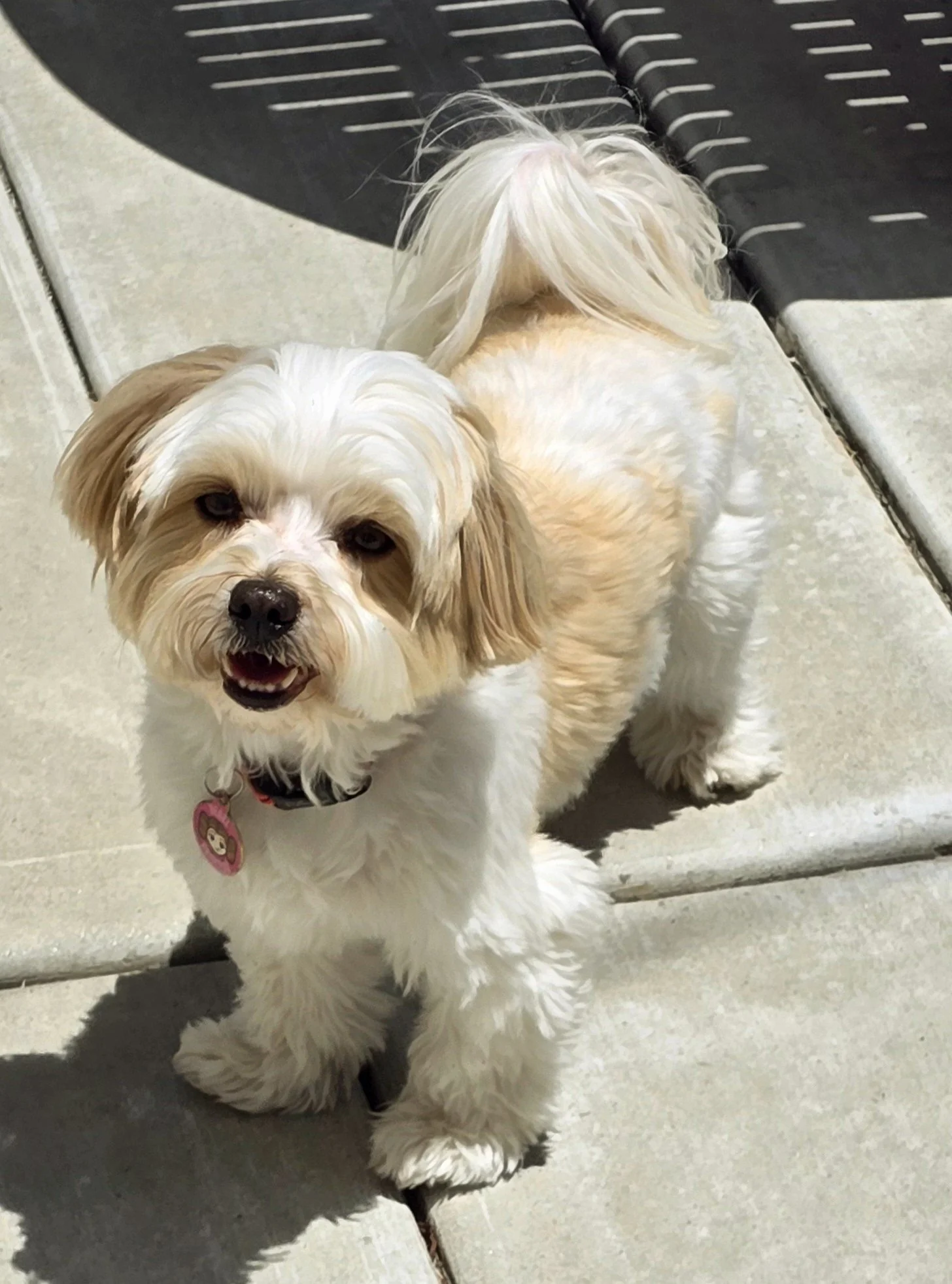 No Bones About It: Naomi - The Soft Rebel in Fur