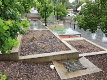 Empty garden beds with soil, surrounded by low concrete borders, on a rainy day with wet pavement and trees.