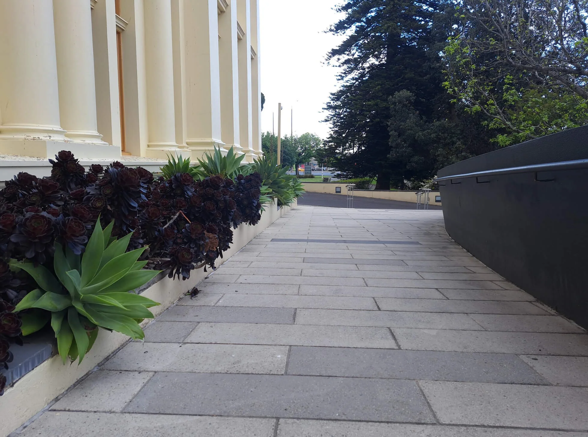 View of a sidewalk next to a beige building with decorative columns, with green and dark purple succulents and plants along the building, and trees in the background.
