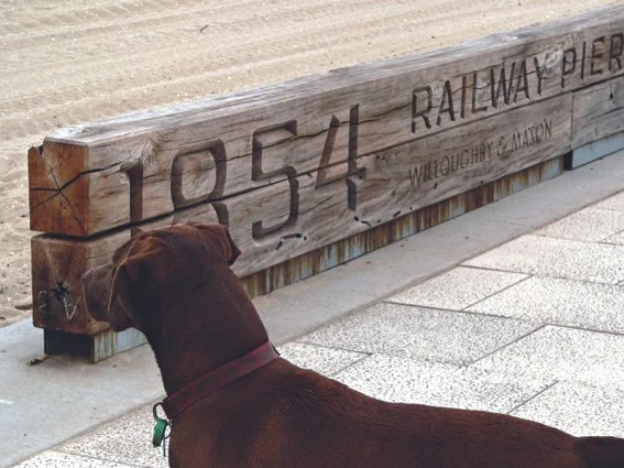 Dog sitting on sidewalk, looking at wooden sign that reads '1954 Railway Willoughby & Eliot'.