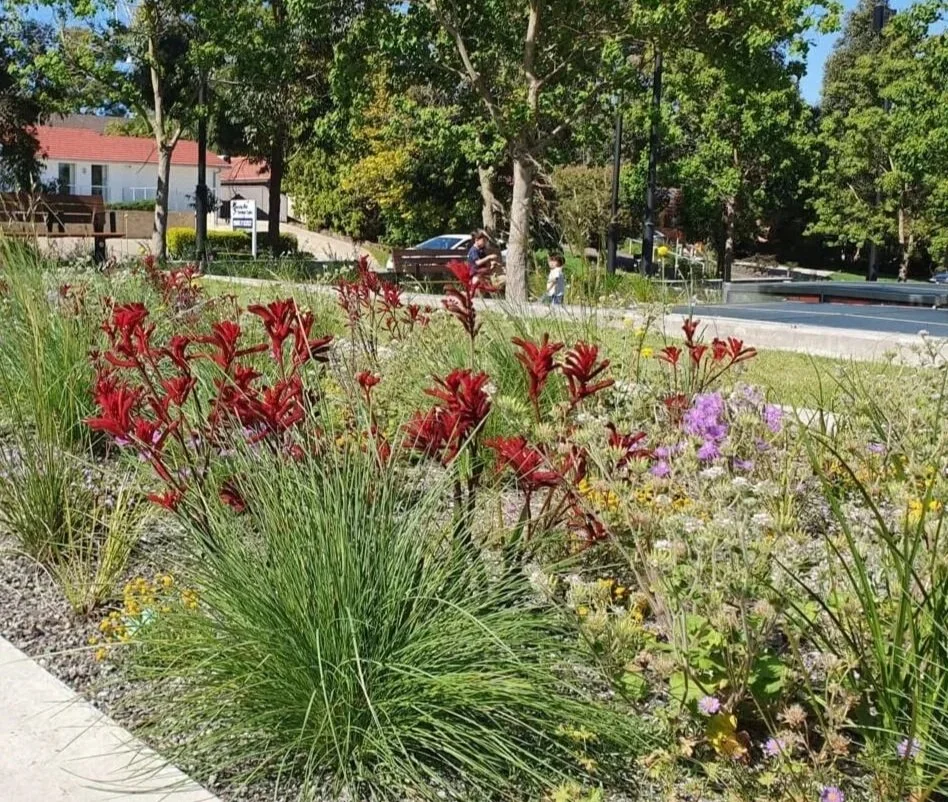 A landscaped garden with red flowers, purple blossoms, tall grass, and trees in the background, with a sidewalk and street with cars and people in the distance.