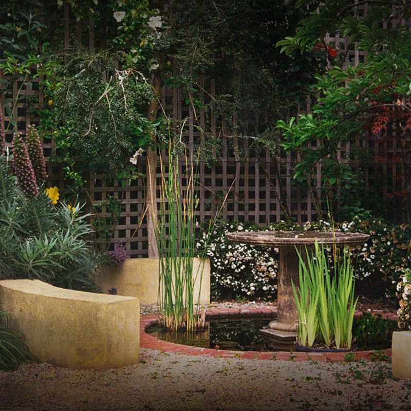 circle in the square