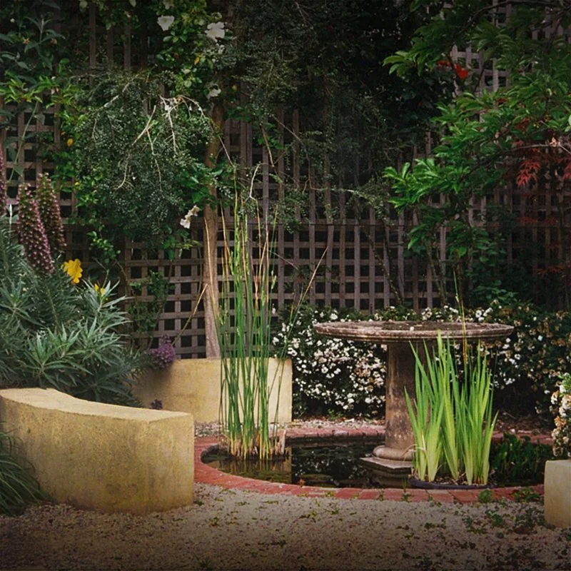 circle in the square