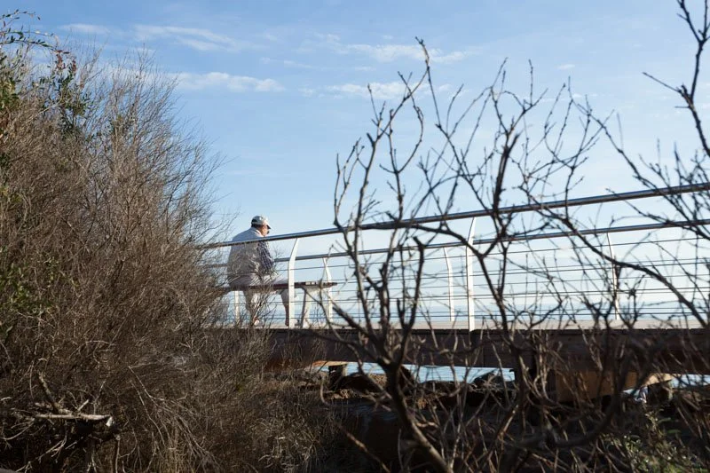 Person walking on a bridge with a metal railing, surrounded by leafless bushes and trees, under a partly cloudy blue sky.