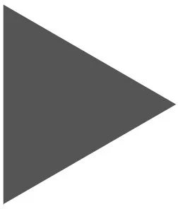 A large gray right-pointing triangle.