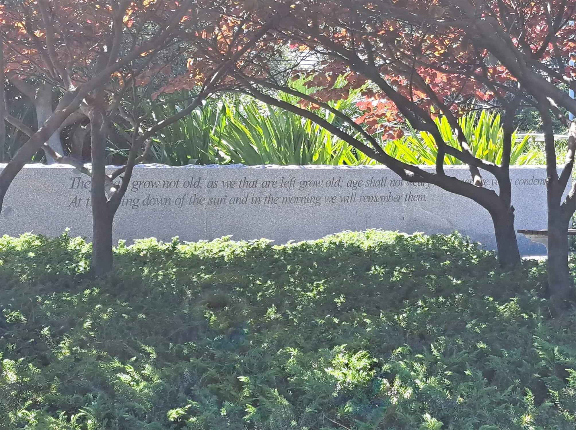 A park scene with trees and shrubs in front of a stone memorial with engraved text, partially obscured by tree branches.