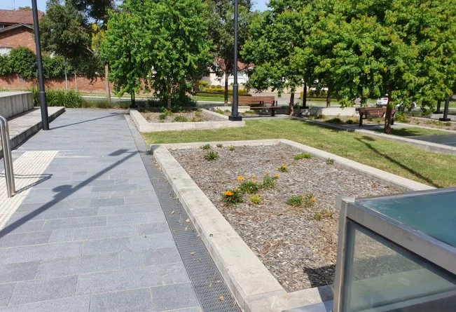 Public park with paved walkways, small garden beds with plants, benches, trees, and lampposts, on a sunny day.