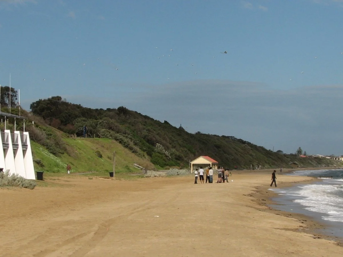 Beach with people, cliffs, and a small pavilion, with seagulls and an airplane flying in the sky.