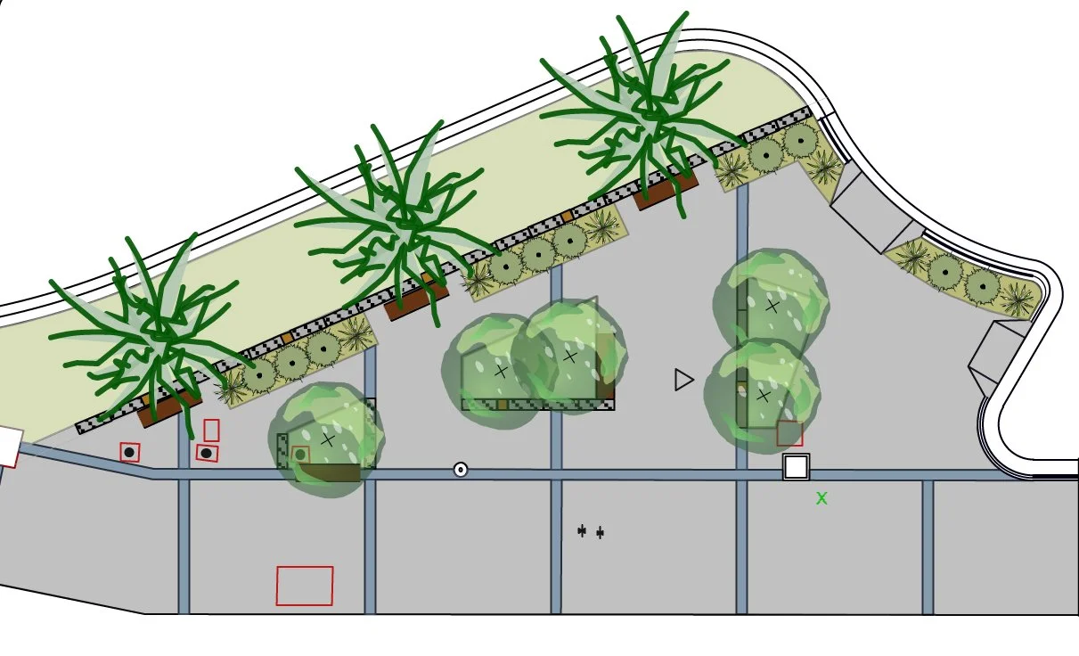 Landscaped garden with trees, shrubs, decorative rocks, and pathways.