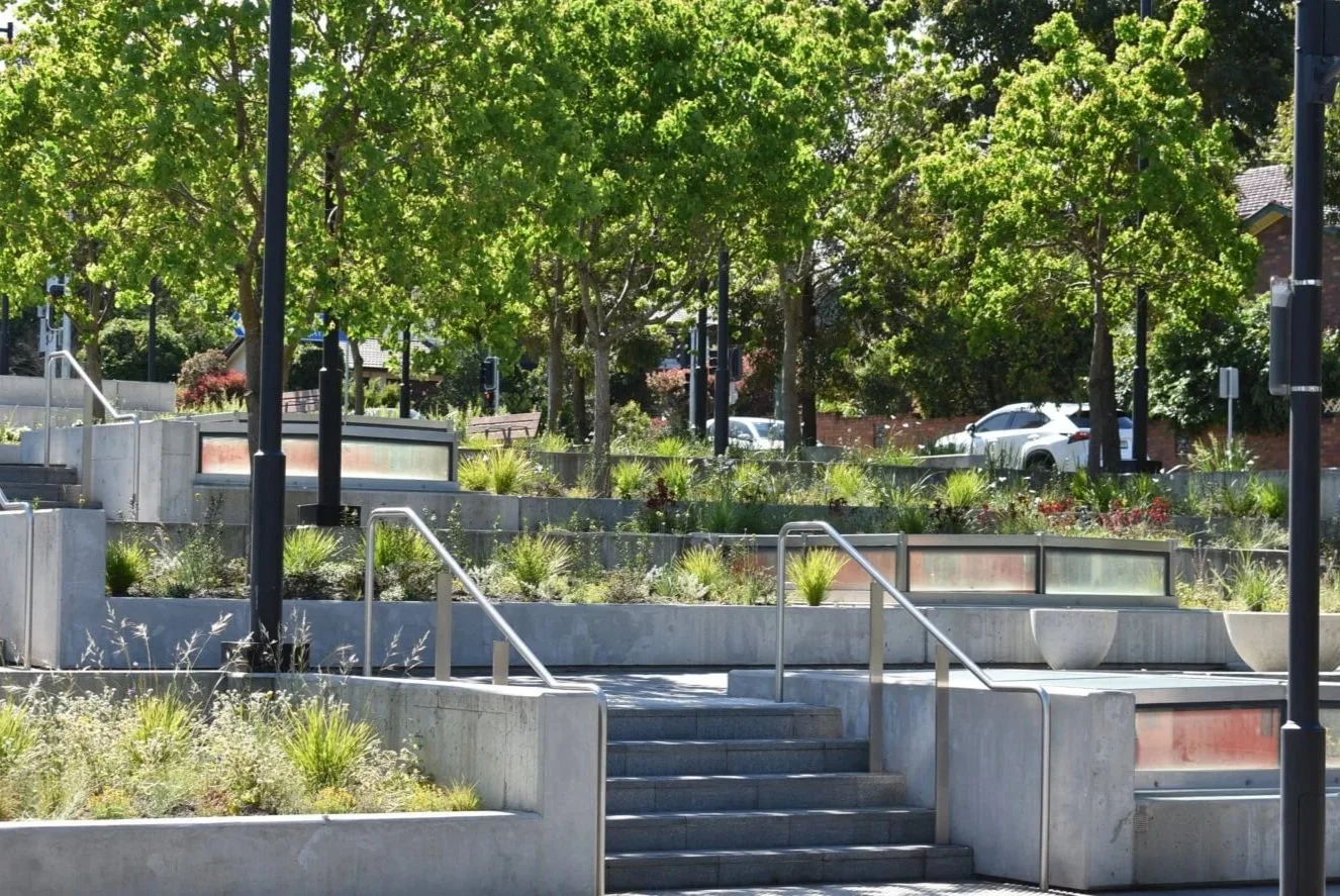 Outdoor park area with steps, black lampposts, concrete planters filled with green plants, large leafy trees, and parked cars in the background.
