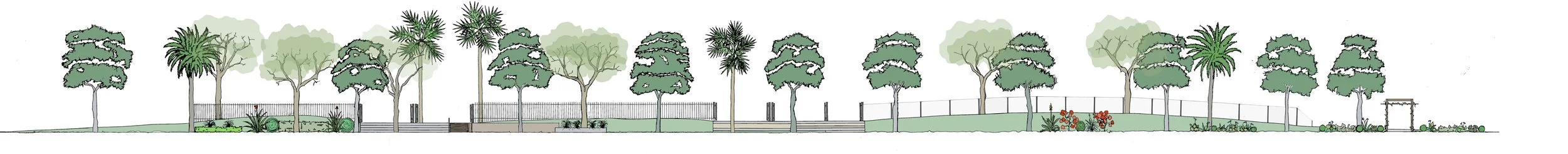 A detailed line drawing of a park with various trees, plants, and pathways across a panoramic view.