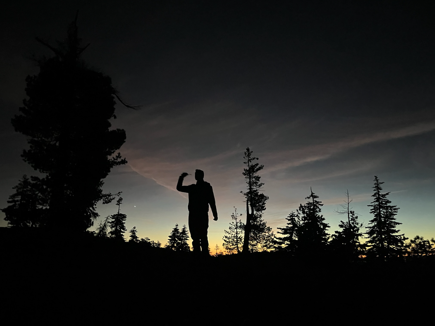 Silhouette of a man flexing his arm in a forested area at sunset or sunrise, with tall trees and a colorful sky transitioning from dark to light.