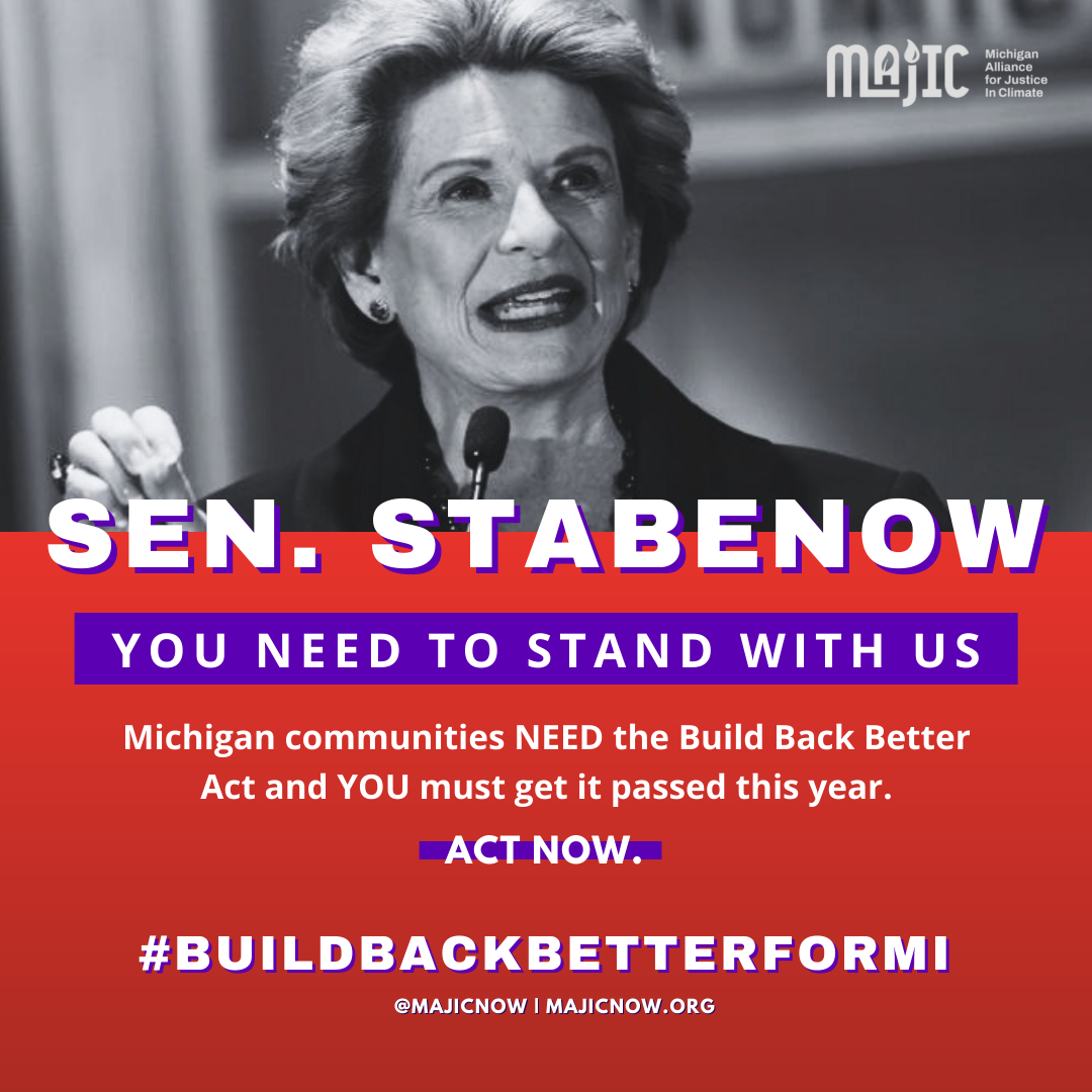 Debbie Stabenow, v2.png