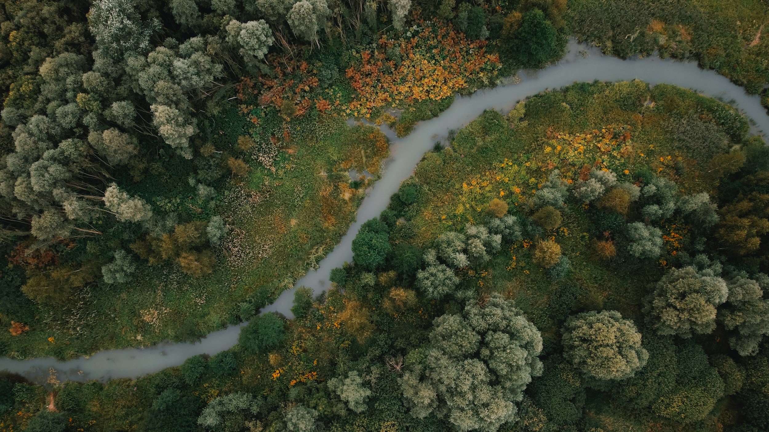 Aerial view of a winding river flowing through a dense forest with trees showing autumn colors.